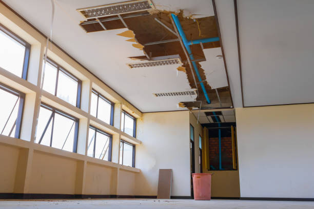Best 24/7 water damage repair  in Briggs, OK