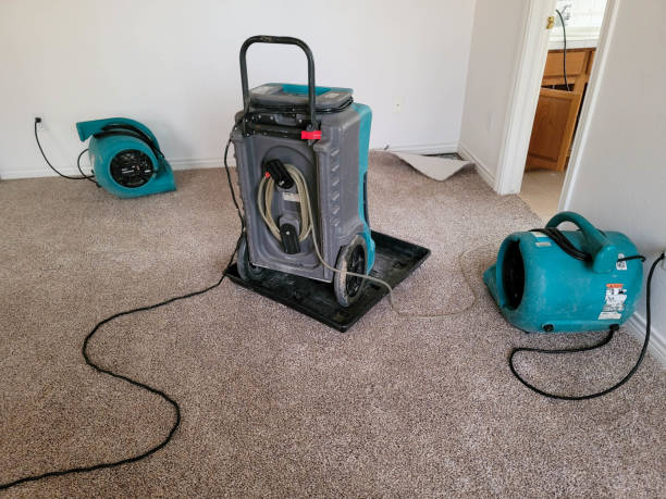 Best Water damage restoration cost  in Briggs, OK