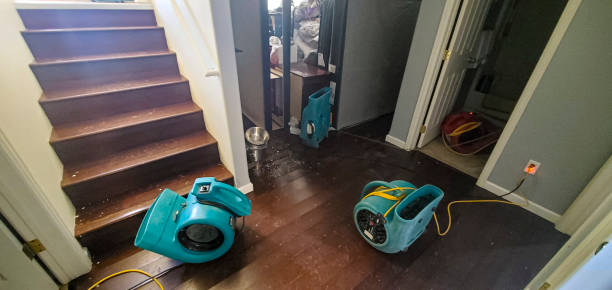 Best Commercial water damage restoration  in Briggs, OK