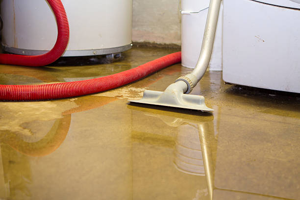 Best Water damage cleanup near me  in Briggs, OK