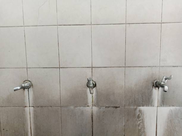Best Basement water damage restoration  in Briggs, OK