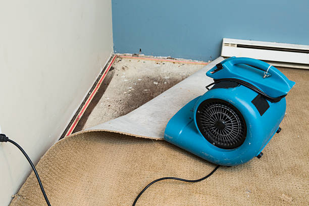 Professional Water damage restoration in Briggs, OK